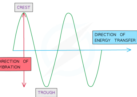 <ul><li><p>Visible light is a part of the electromagnetic spectrum which means it is a <strong><span style="color: var(--bs-link-color)">transverse wave. </span></strong>This means the direction the light particles vibrate is <strong>perpendicular</strong> to the direction of the energy transfer. It can undergo reflection and refraction</p></li></ul>