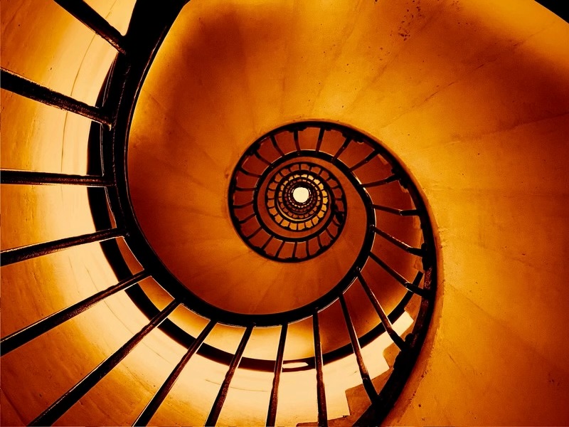 <p><strong>Worm’s Eye View</strong></p>