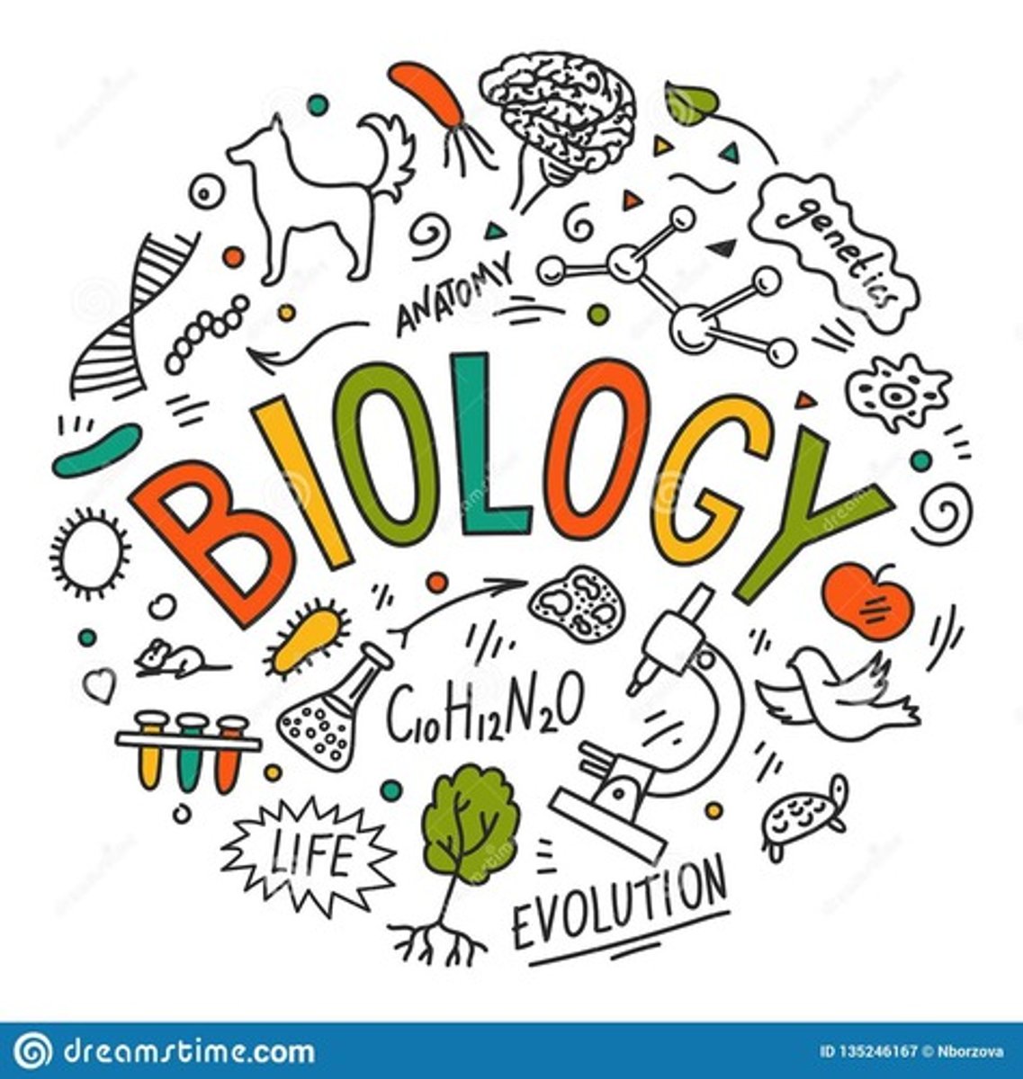 <p>The study of life and the places and processes that support it.</p>