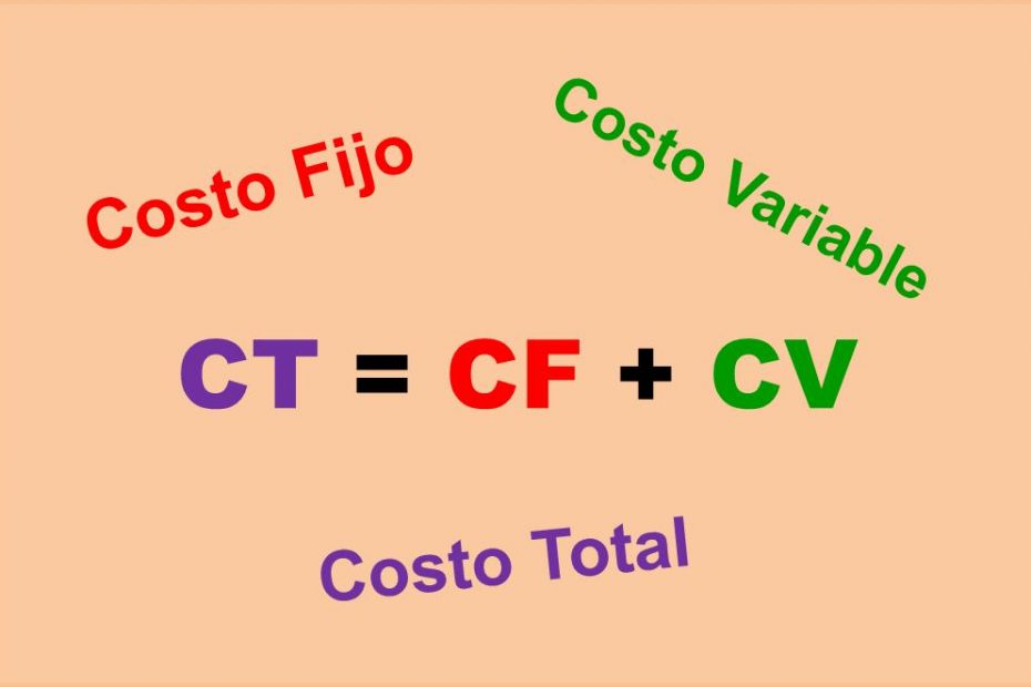 <p><strong>Costo total (TC)</strong></p>