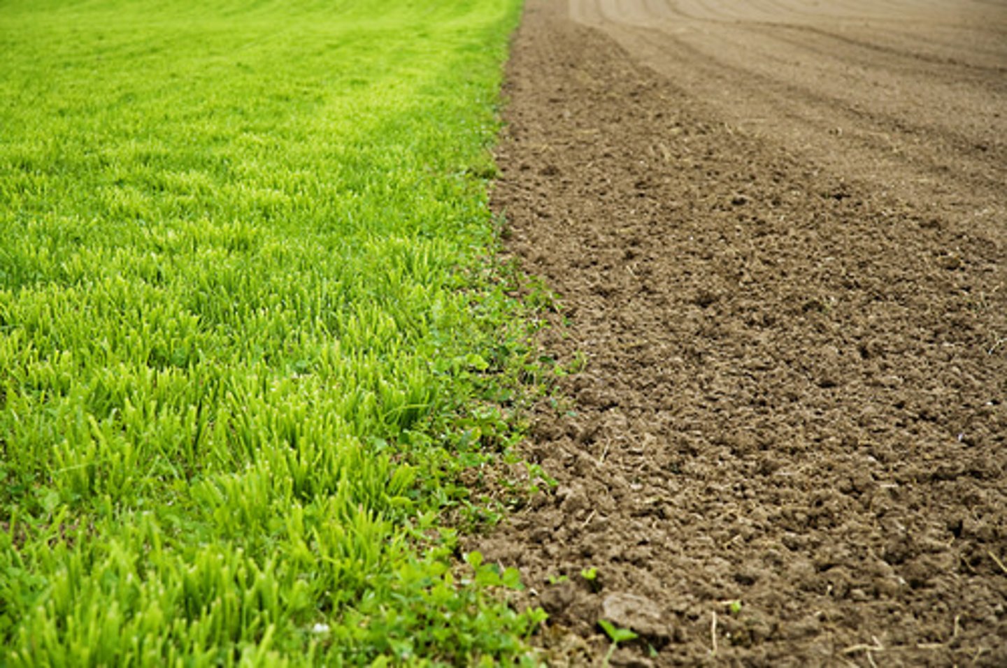 <p>organic form back to an inorganic form through decomposition</p>