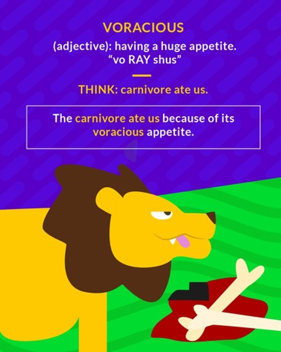 <p>(adj.) having a huge appetite, greedy, ravenous; excessively eager</p>