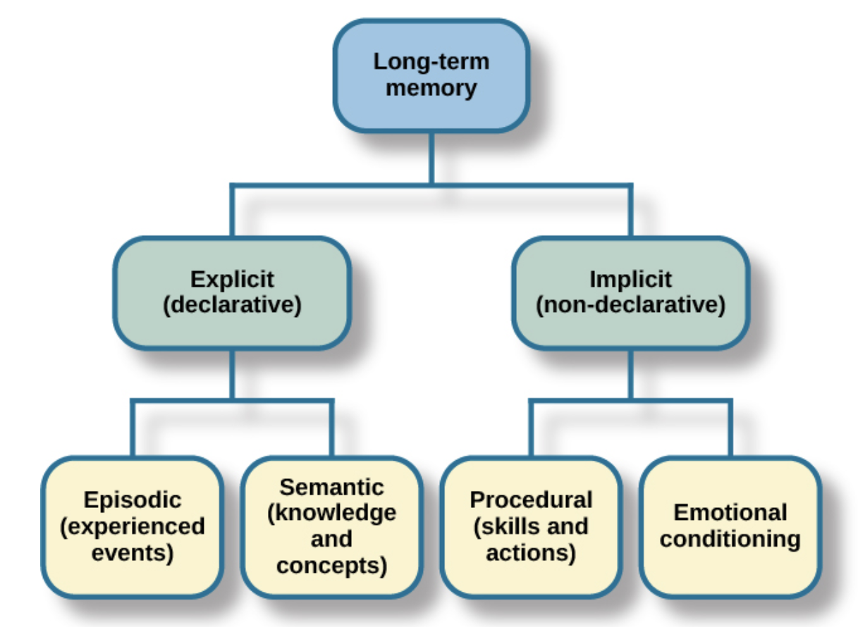 <p>In order for a&nbsp;<strong>memory</strong>&nbsp;to go into storage (i.e., long-term memory), it has to pass through three distinct stages:&nbsp;</p><p>1) <strong>Sensory Memory- </strong>storage of brief sensory events, such as sights, sounds, and tastes</p><p>2) <strong>Short-Term Memory- </strong>is a temporary storage system that processes incoming sensory memory; sometimes it is called working memory. Short-term memory <span style="color: #fff5f5">takes information from sensory memory and sometimes connects that memory to something already in long-term memory. Short-term memory storage lasts about </span><span style="color: #fff5f5">holds five to seven items for about 15–20 seconds</span></p><p>3) <strong>Long-Term Memory</strong>-the continuous storage of information. Unlike short-term memory, the storage capacity of LTM has no limits</p><p>Two types: explicit and implicit</p><ul><li><p><strong>Explicit memories</strong>&nbsp;are those we consciously try to remember and recall. For example, if you are studying for your chemistry exam, the material you are learning will be part of your explicit memory.&nbsp;</p></li><li><p><strong>Implicit memories</strong>&nbsp;are memories that are not part of our consciousness. They are memories formed from behaviors. Implicit memory is also called non-declarative memory.</p></li></ul><p></p>