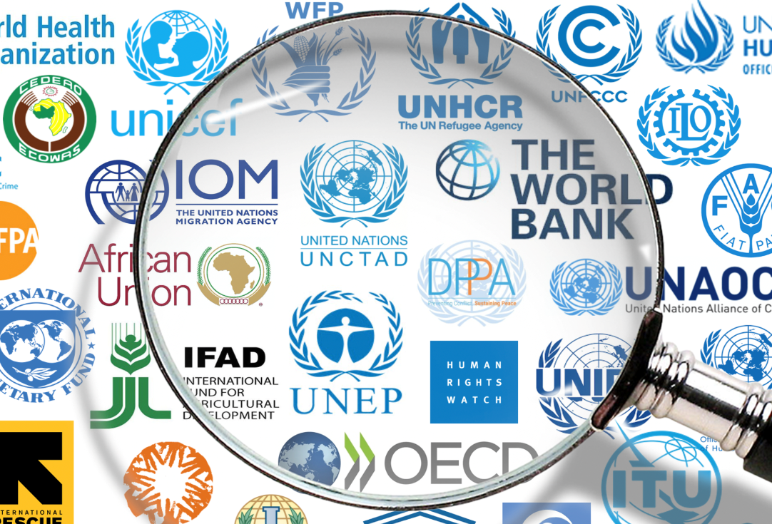 <p>une organisation internationale</p>