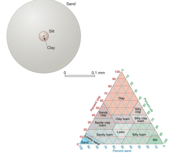 <p><strong>explain the difference between soil texture and soil structure.</strong></p>