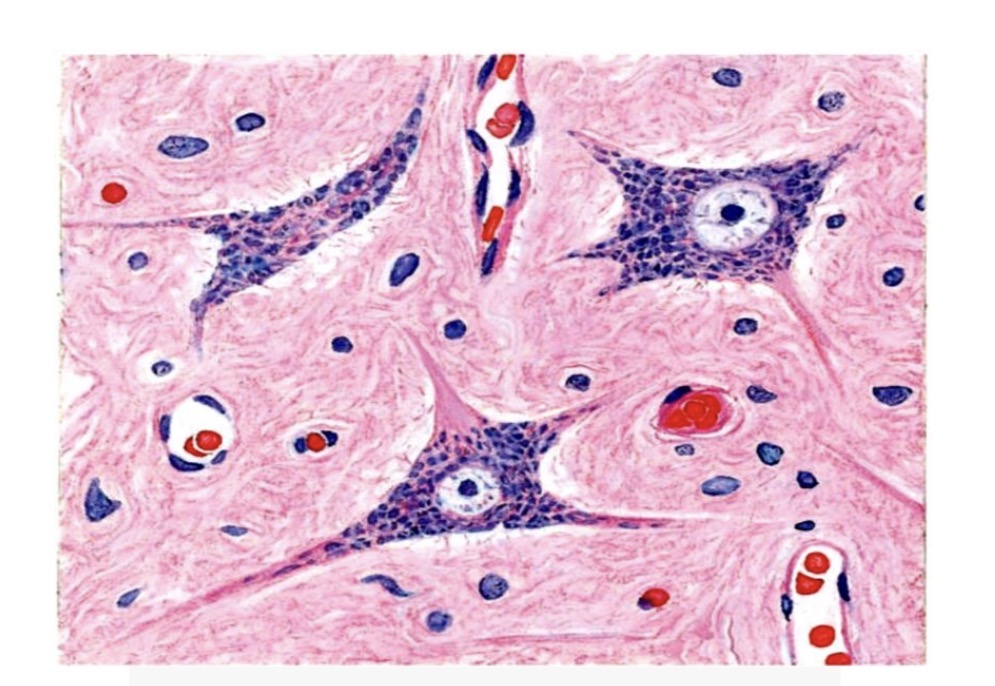 <p>Answer the questions in these following pictures </p>