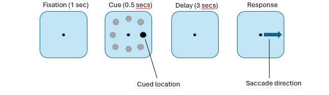 <ul><li><p>monkey single neuron recordings → oculomotor delayed response task</p><ul><li><p>monkeys saw cue on left/right of fixation &amp; had to maintain their eye gaze at centre for 3 seconds &amp; then make an eye movement in direction of the cue</p></li><li><p>had to hold direction of cue in their memory for 3 seconds</p></li></ul></li><li><p>found that single neurons in PFC showed direction-specific firing during delay period of this task (Between cue &amp; response)</p><ul><li><p>this particular neuron fired strongly when cue pointed to the upper left location</p></li></ul></li><li><p>interpret this as showing a direct neurophysiological correlate of WM template, a temporary representation of spatial location indicated by the cue</p></li></ul><p></p>