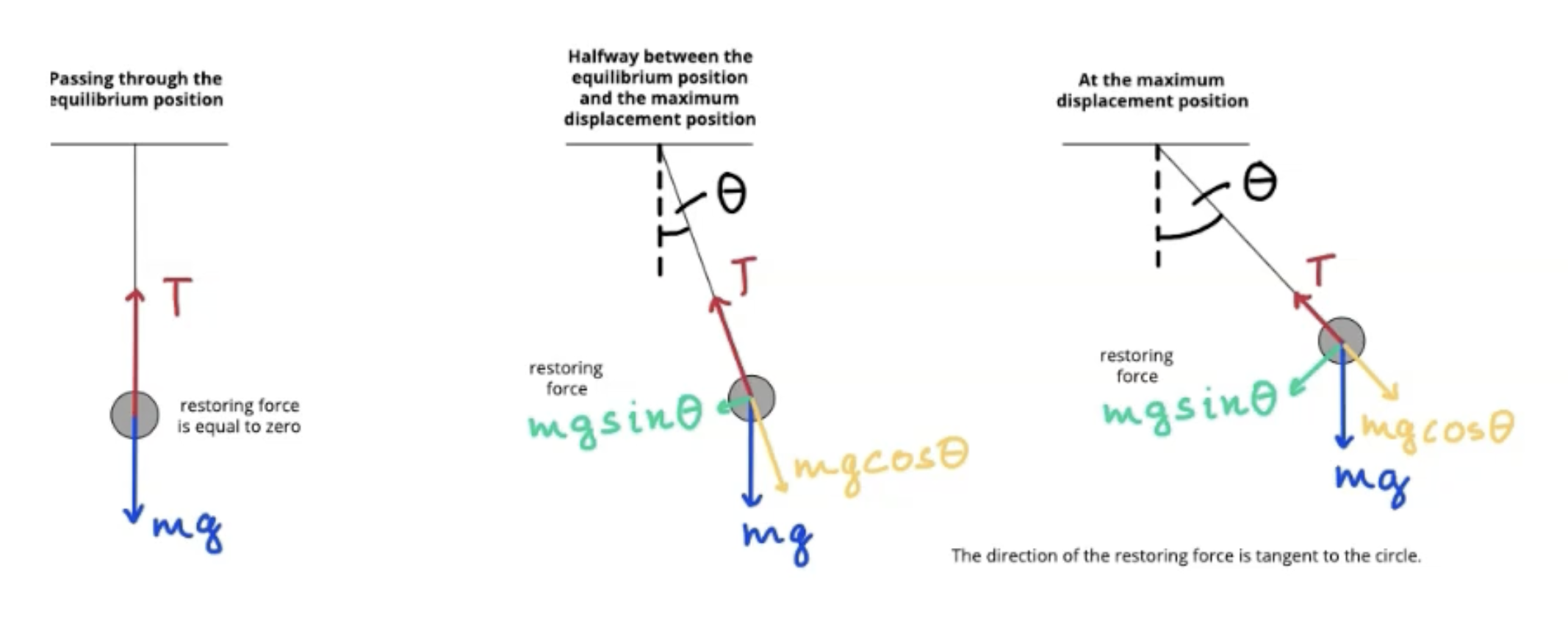 <p><strong>Concept:</strong> T must be greater than mg when bob is moving in circle, as centripetal force is required</p><p><strong>Equilibrium position:</strong> T larger than mg, centripetal force is maximum</p><p><strong>Halfway:</strong> T still larger than mg, centripetal force is greater than 0</p><p><strong>Max displacement:</strong> T is equal to mg, centripetal force is 0</p><p><strong>Restoring force: </strong>mgsinθ is the restoring force, restoring force always acts perpendicular to tension</p>