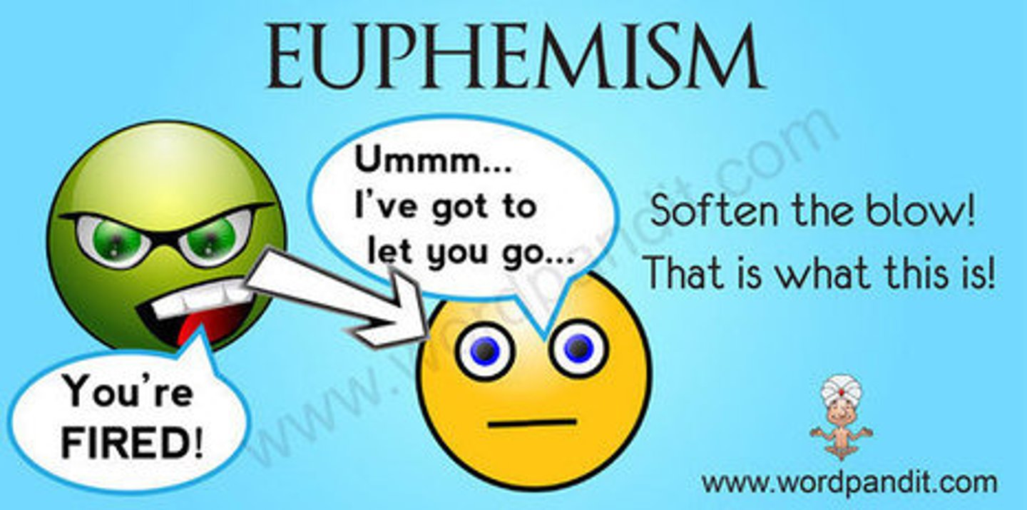 <p>An indirect, less offensive way of saying something that is considered unpleasant</p>