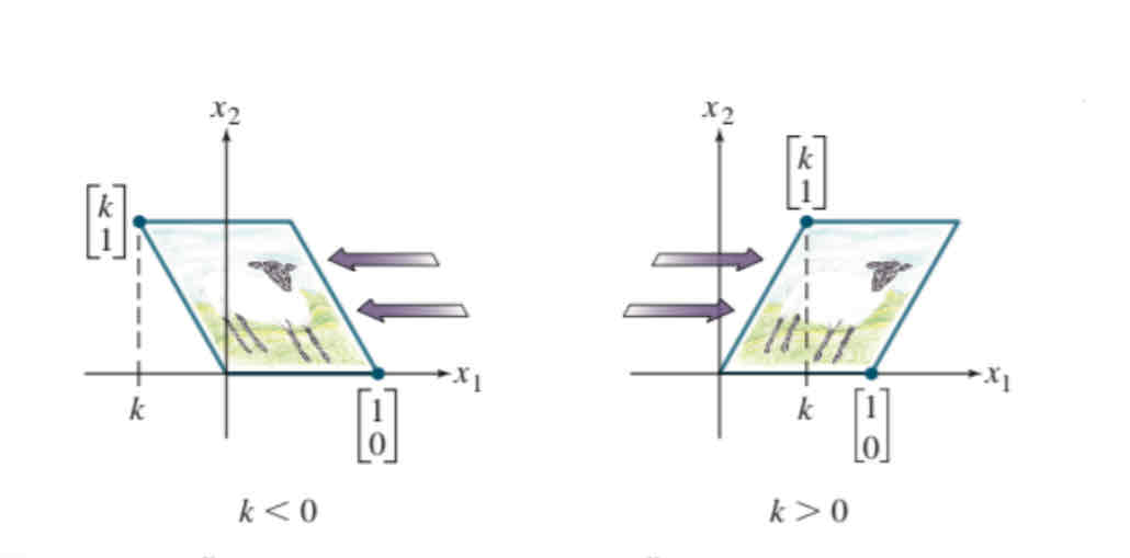 <p>Horizontal shear</p>