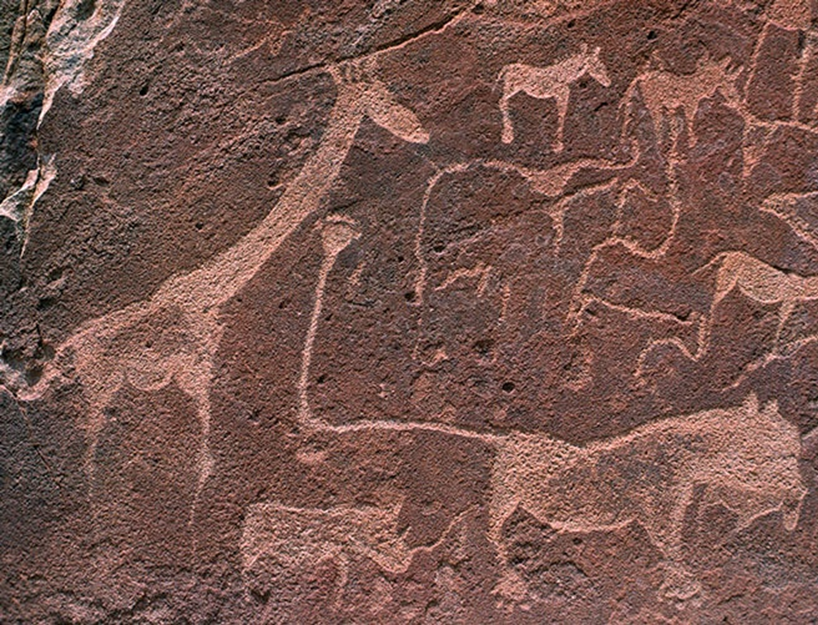 <p>petroglyphs</p>
