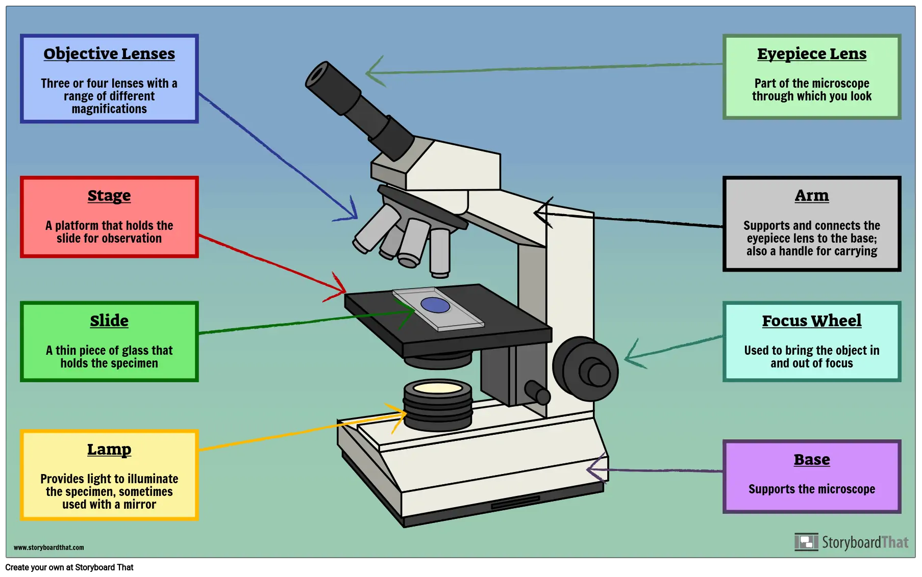 <p>Can you label each part of a light microscope? </p>