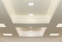 <p><span><span>ceiling</span></span></p>