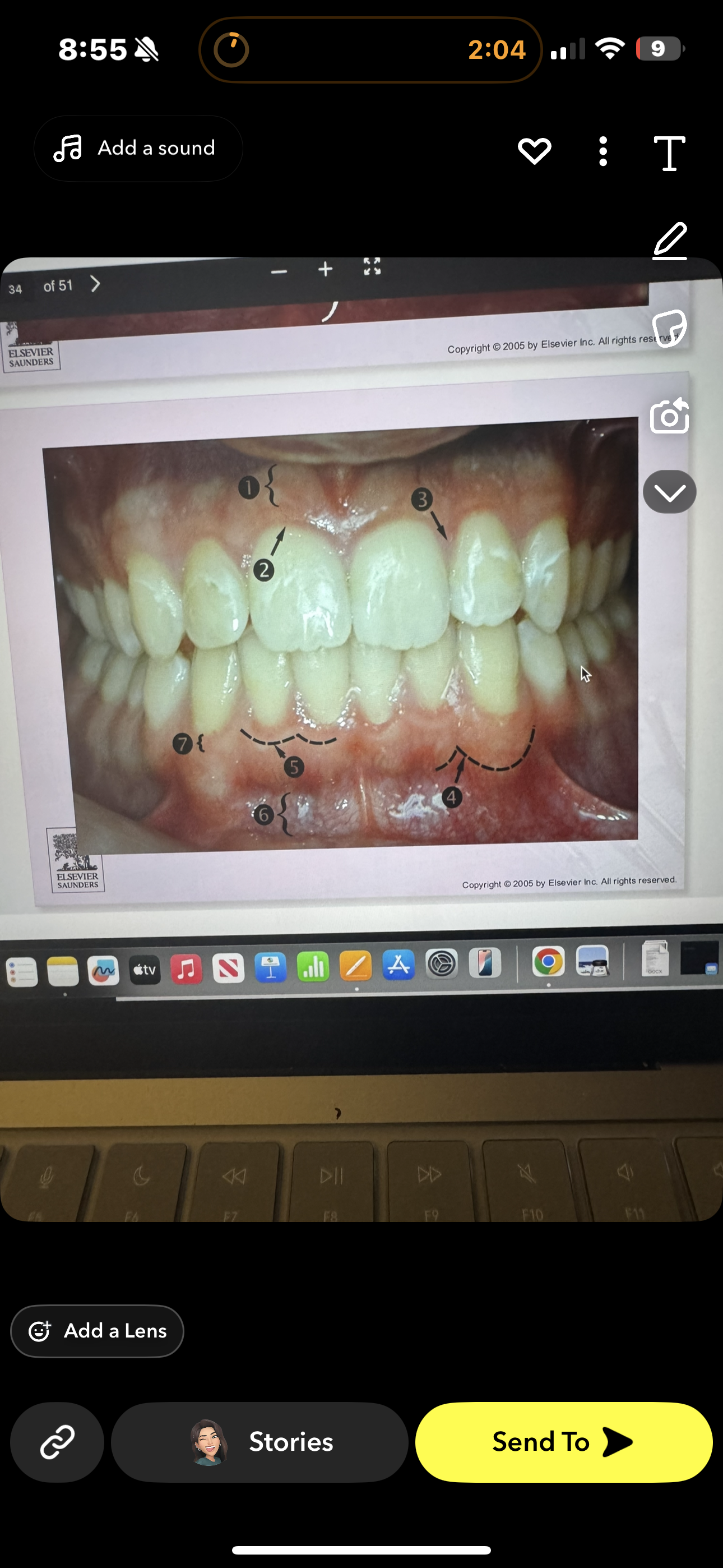 <p>Identify 7 </p>