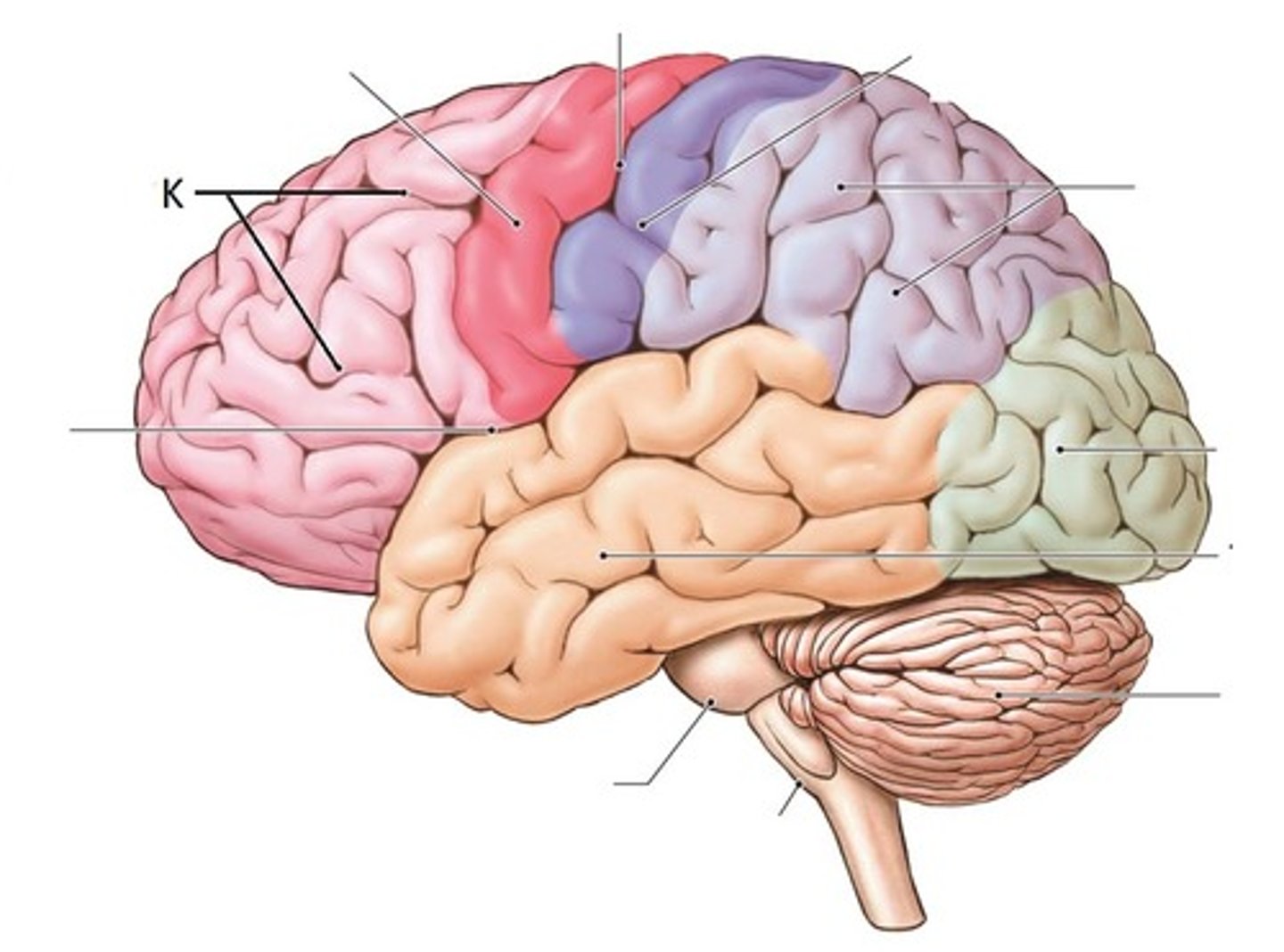 <p>Identify K</p>