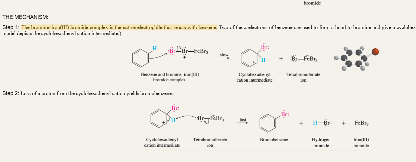 <p>benzene + Fe + Br2</p><p>electrophile is Bromine-Iron (III) Bromide complex</p>