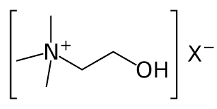 <p>Important quaternary ammonium ion in biochemistry.</p>