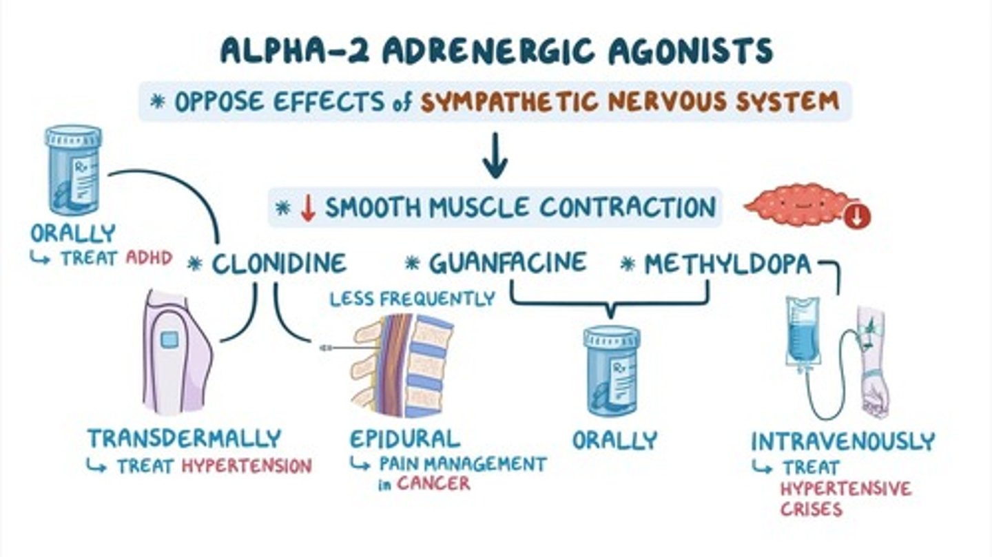 <p>clonidine (Catapres), guanfacine (Intuniv)</p><p>- MOA: decreased BP by reducing sympathetic outflow</p><p>> act by presynaptic alpha-2 stimulation to decreased central NT release </p><p>ADE: hypotension, bradycardia, withdrawal syndrome w sudden d/c, seddation, lethargy, depression, tachycardia, excessive BP</p><p>- generally last line therapy for resistant HTN, has significant CNS adverse effect</p>