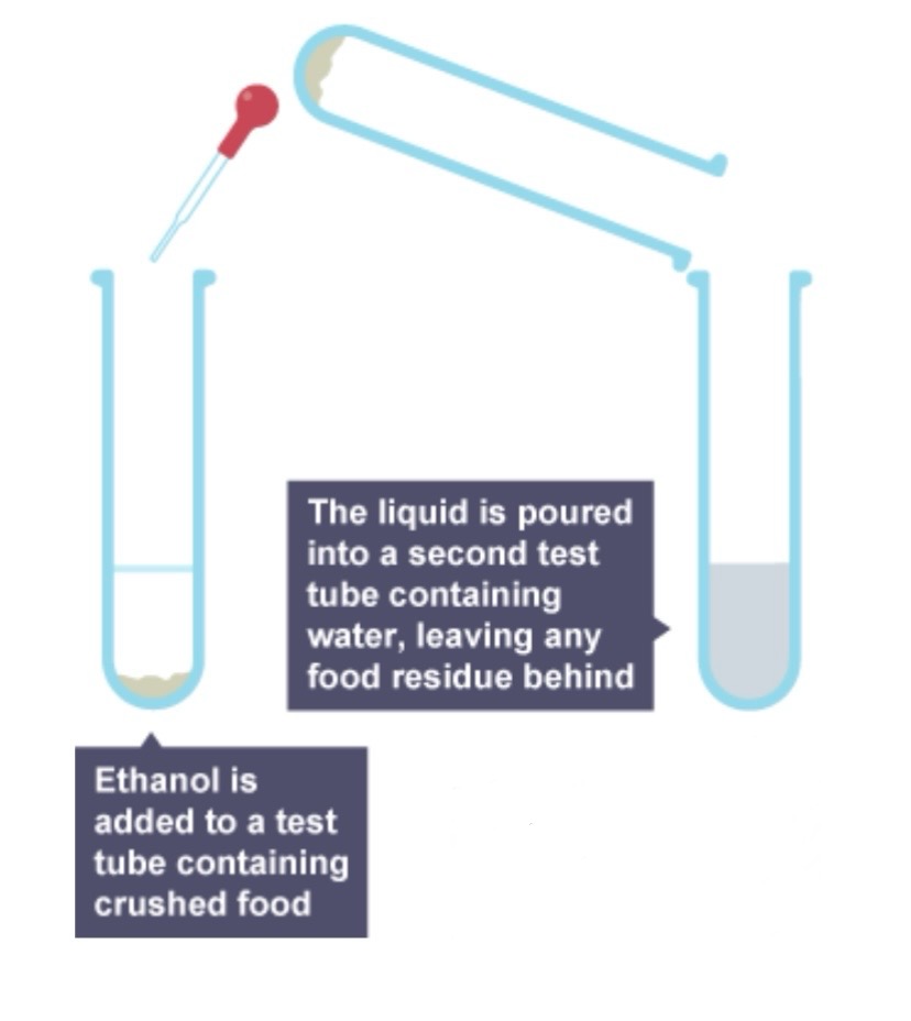 <p>Which type of food does this method test for?</p>