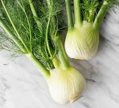 <p>Fennel (anise)</p>