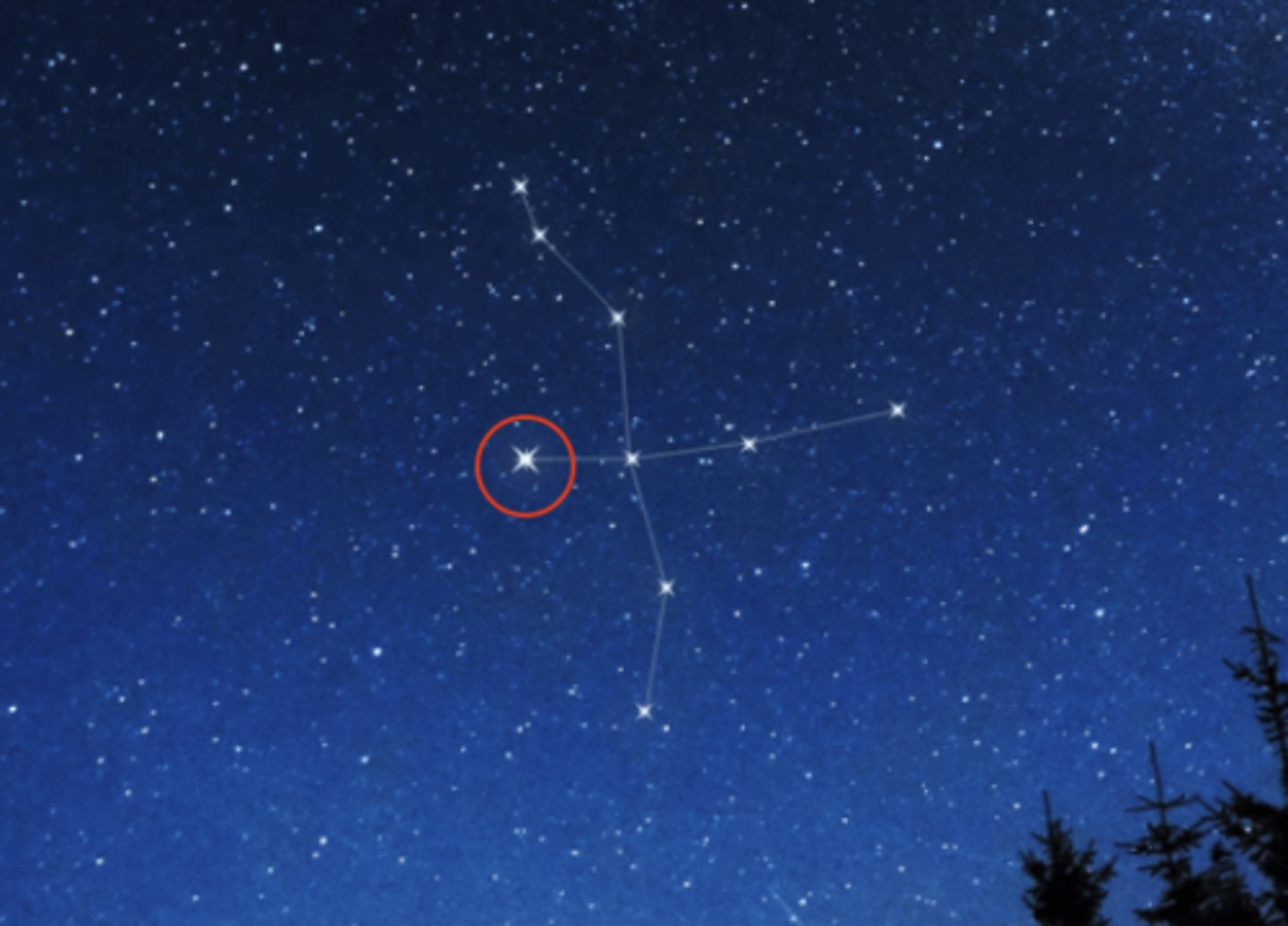 <p>What is Cygnus' star i need to know</p>