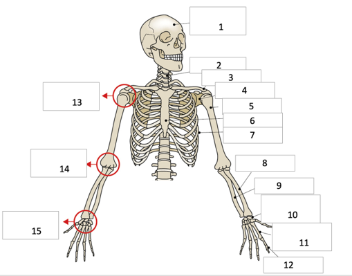 <p>14</p>