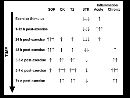 <p>Delayed onset muscle pain </p>