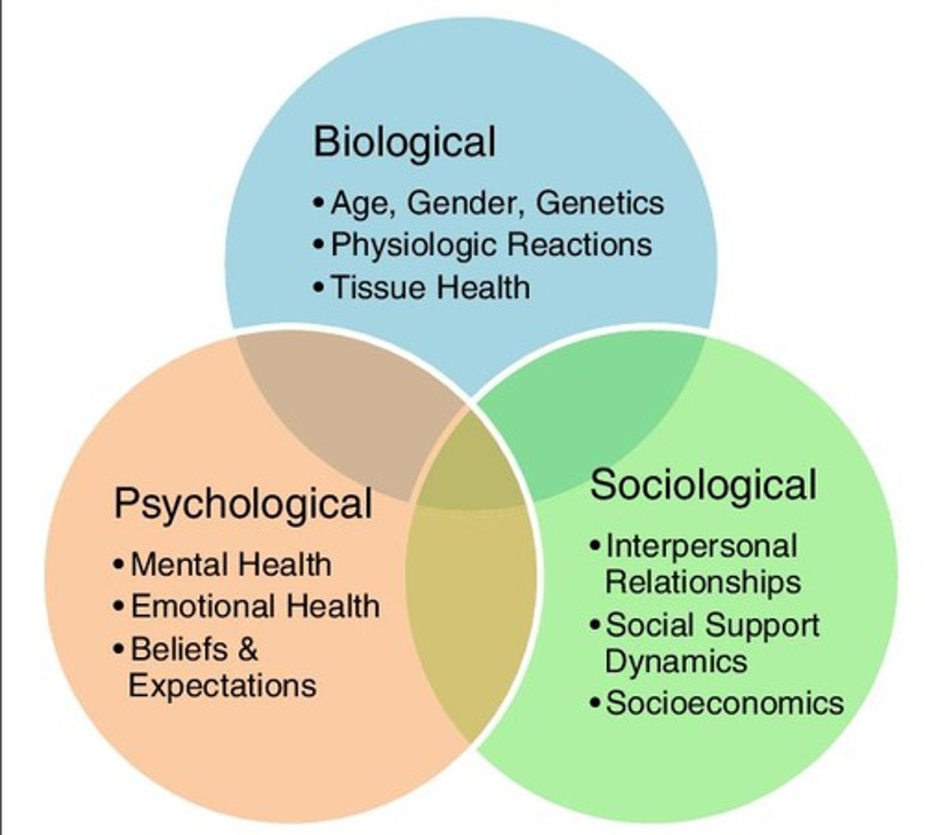 <p>Framework considering biological, psychological, and social factors.</p>