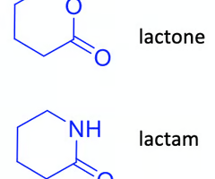 <p>does hydrolysis in vivo occur more rapidly in lactams or lactones? why?&nbsp;</p>