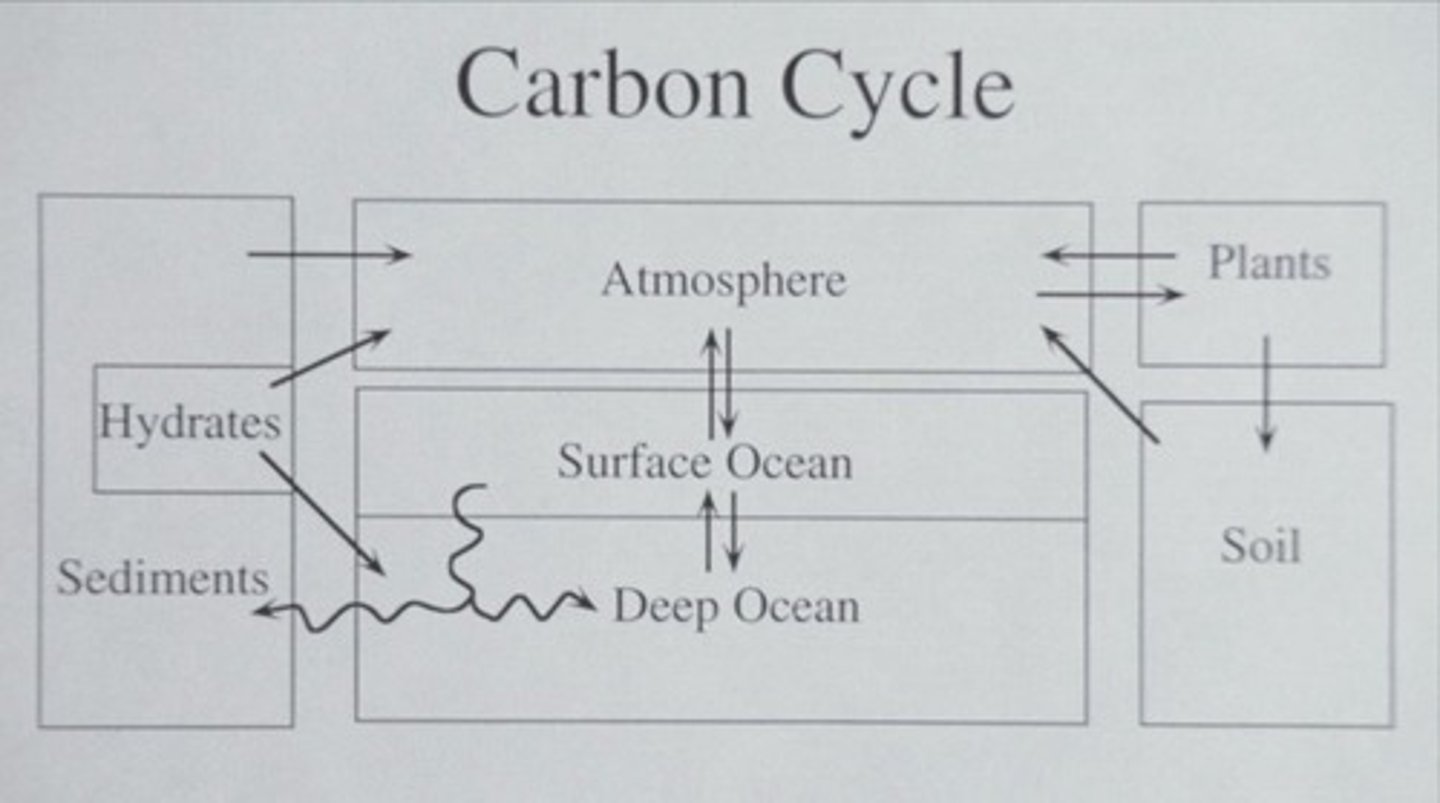 <p>Physical processes include volcanic activity and weathering, while biological processes involve photosynthesis and respiration.</p>