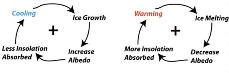 <p>an act that is done to accelerate initial change, makes it more likely to happen again (i.e. higher population, more births) </p>