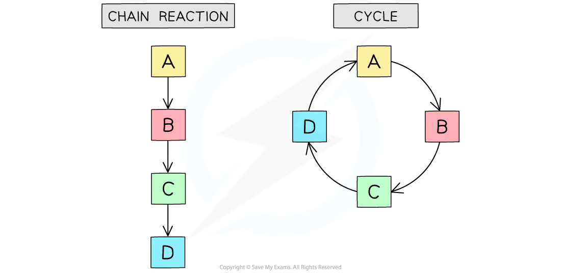 <p><strong>Linear metabolic pathways</strong> are a step-by-step sequence where the product of one reaction becomes the substrate for the next. It produces a final product through a series of metabolic reactions. </p><p>On the other hand, <strong>cyclical metabolic pathways</strong> are a cycle where the starting reactant is produced at the end (unlike in linear, where the final product is different from the reactant). </p><p>However, both linear and cyclical reaction pathways use the product of one reaction as the substrate/reactant for the next reaction. Each chemical reaction requires specific enzymes. </p>