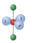 <p>What is the molecular geometry of this shape? Include angles</p>