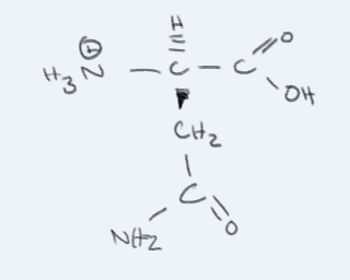 <p>what amino acid is this?</p>