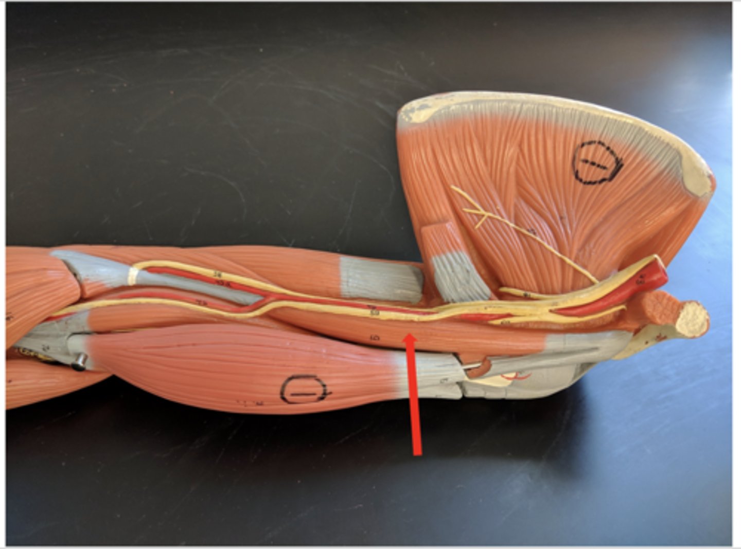 <p>what is this?</p>