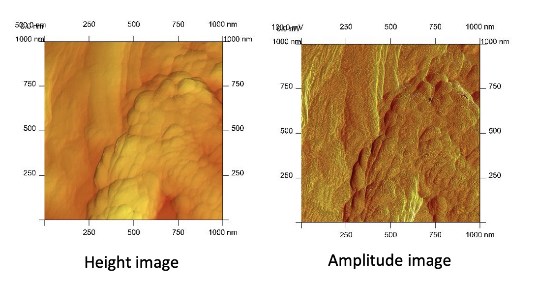 <p>imaging-paper fibres</p>