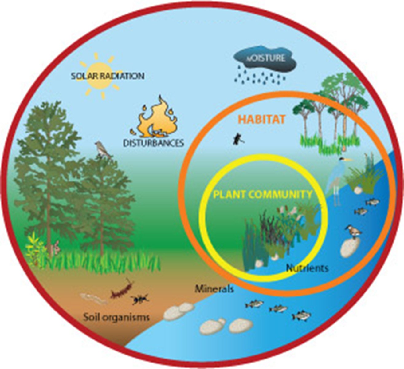 <p>a community of organisms and their nonliving environment</p>