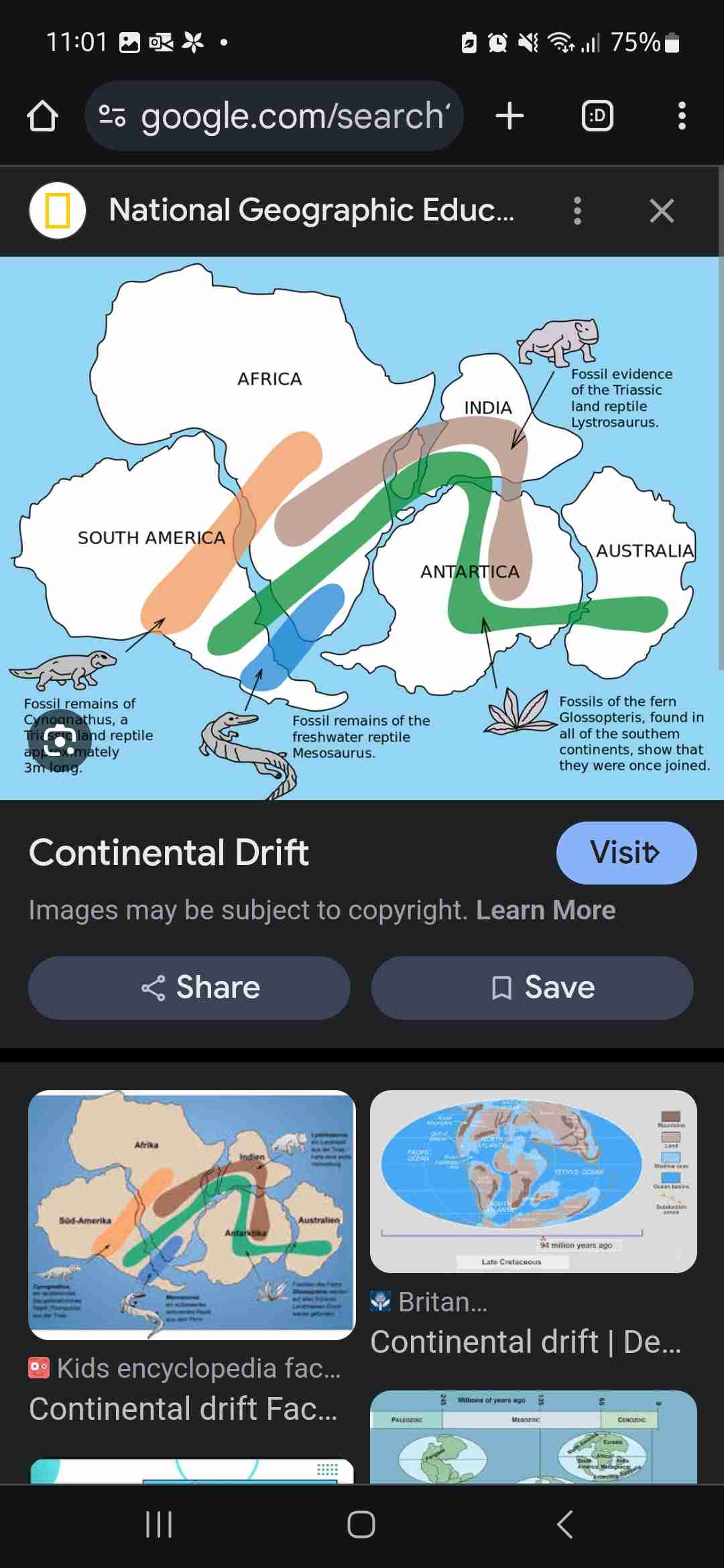 <p>Where it is believed that the world land mass was once a place called pangea (one large land mass) and then due to the earth’s plate movement the climates have changed.</p>