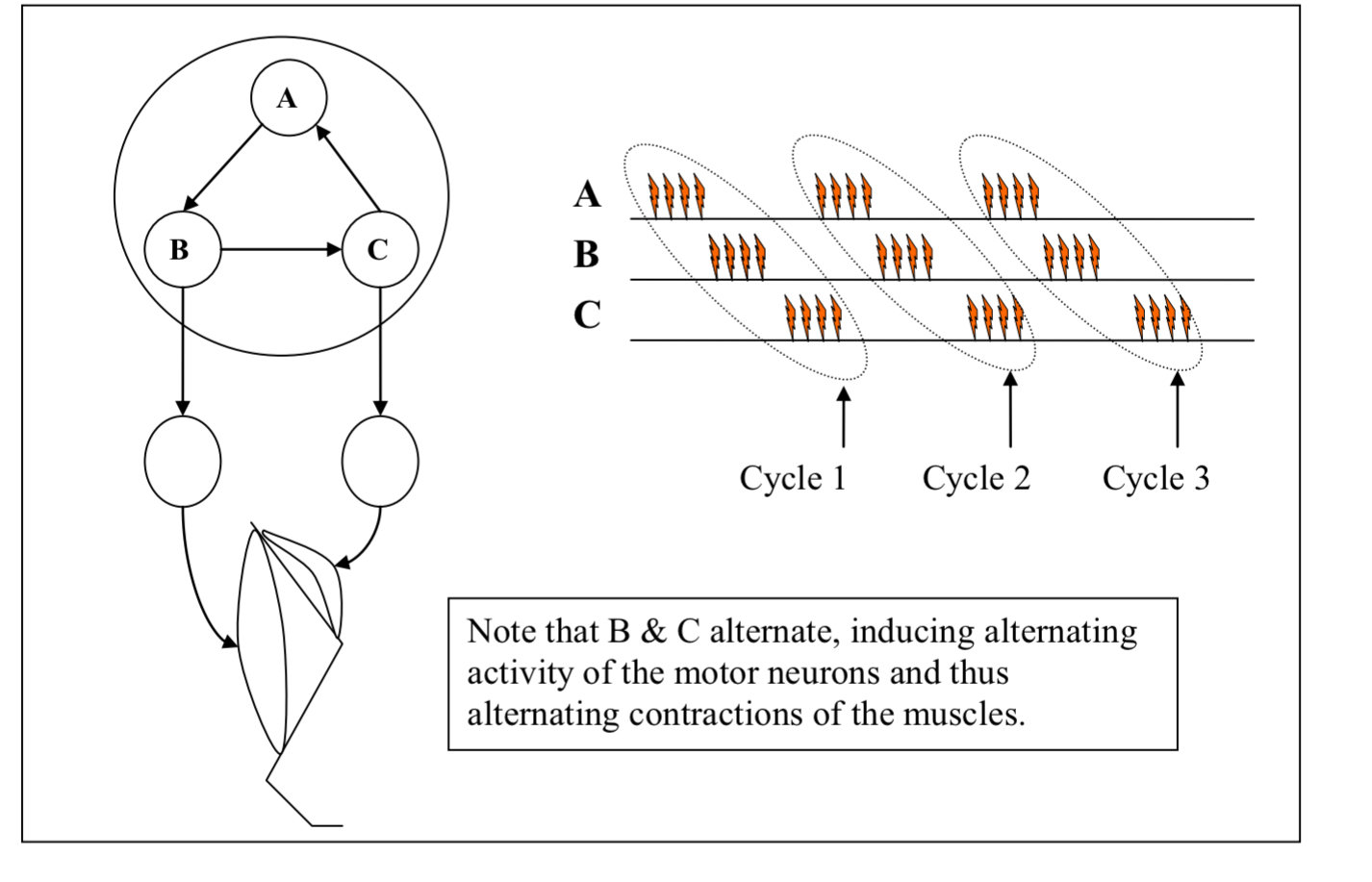 <p>What does this diagram show?</p>