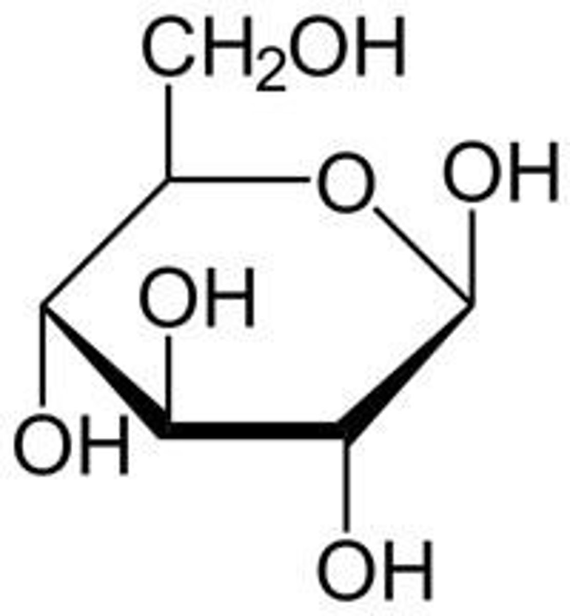 <p>single sugar molecule; monomer of a carbohydrate</p>