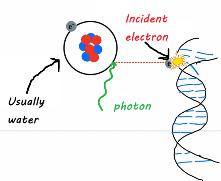 <ol><li><p>photon ionizes an atom (usually H2O), ejecting an electron</p></li><li><p>the<strong> recoil electron</strong> causes a break in the DNA molecule</p></li></ol><p></p><p></p>