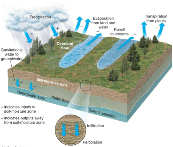 <ul><li><p>After precipitation, water may follow several pathways</p></li><li><p><strong>Runoff</strong>: when water remains on top of the soil and flows downhill (eventually into streams/lakes)</p></li><li><p><strong>Infiltration</strong>: some of the precipitation will soak into the soil moisture zone (into subsurface)</p></li></ul><p></p>