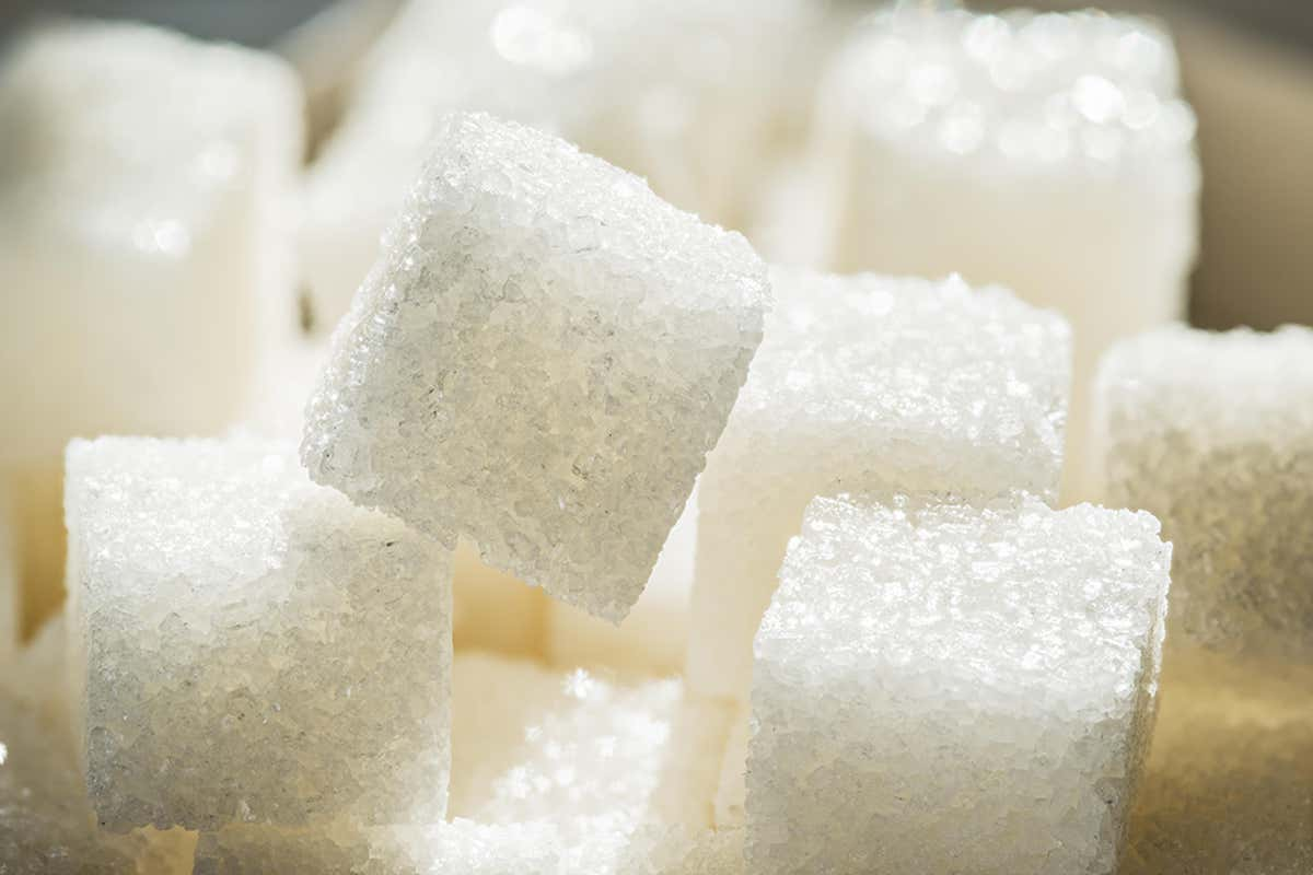 <p>sugar</p>