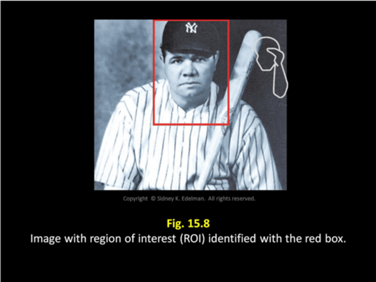 <p>region of interest; the selected part of the image</p>