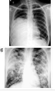 <p>What do u term each of these pics?</p>