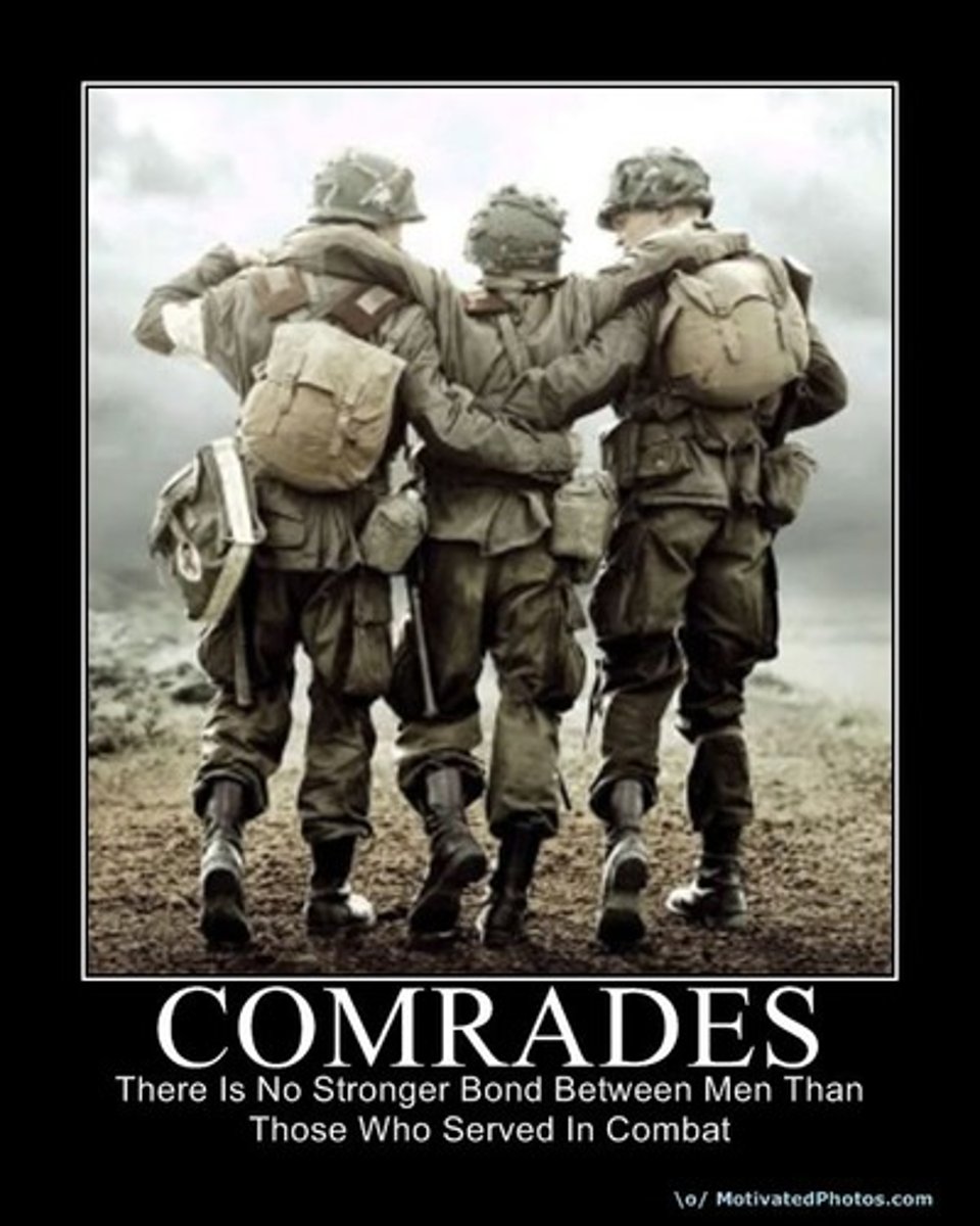 <p>comrade, follower</p>