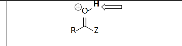 <p>Protonated Carbonyl Group Z = H, C, OR, NH 2 , NHR, NR2</p>