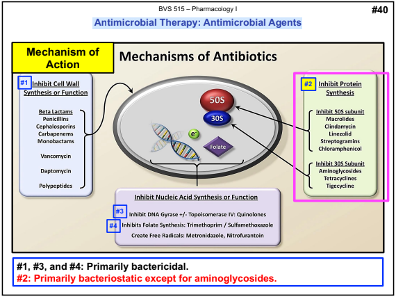 <p>Primarily <strong>bacteriostatic </strong>except for <strong>aminoglycosides</strong>.</p>