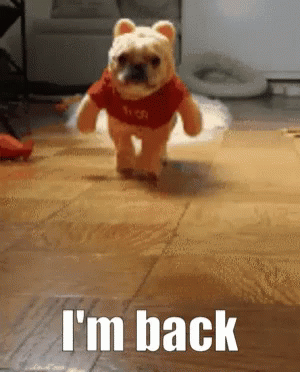 <p>arriver </p>