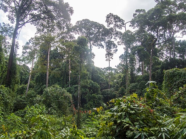 <p>2 case studies of ecosystem services:</p>
